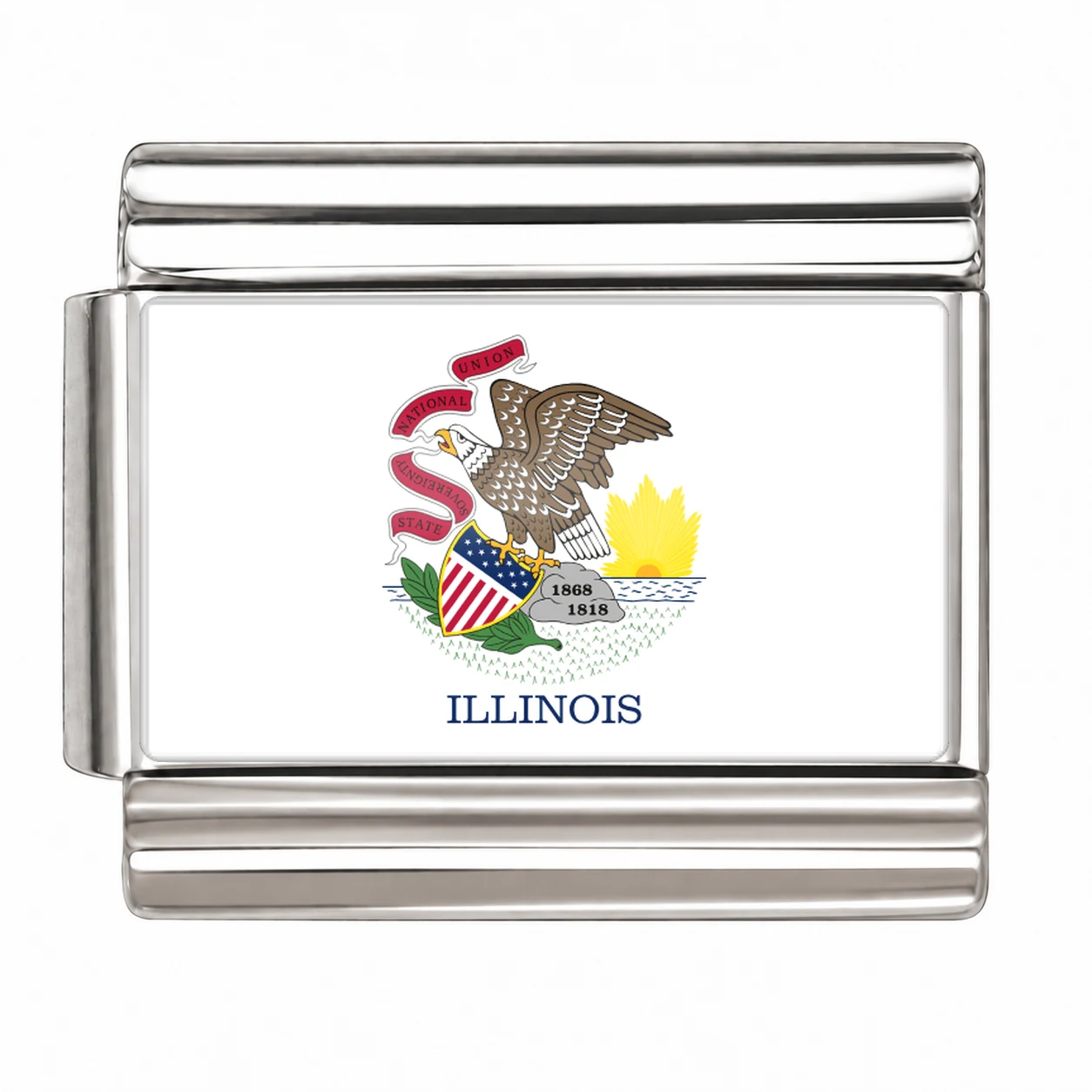 Illinois State Flag for - Silver