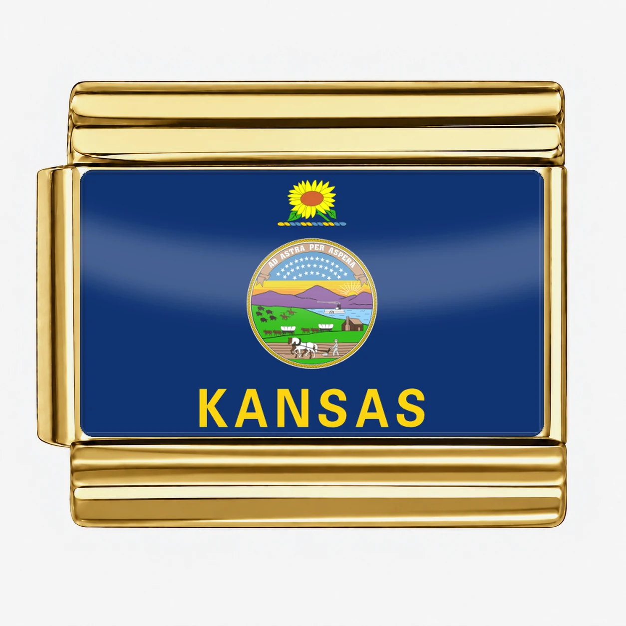 Kansas State Flag for - Gold