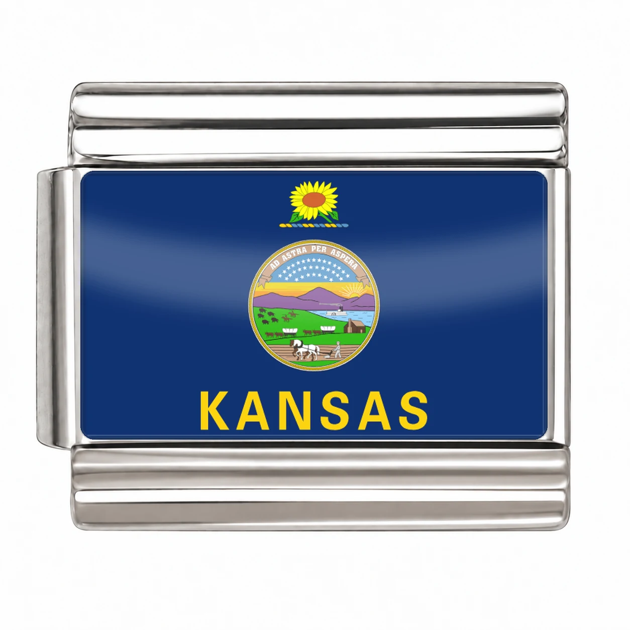 Kansas State Flag for - Silver