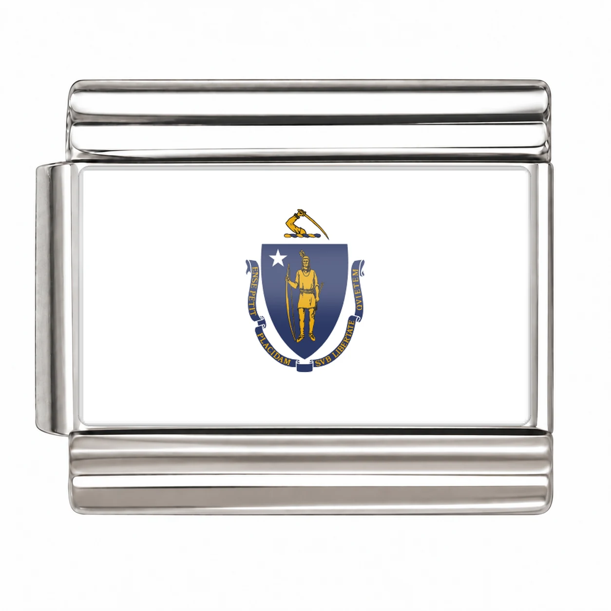 Massachusetts State Flag for - Silver