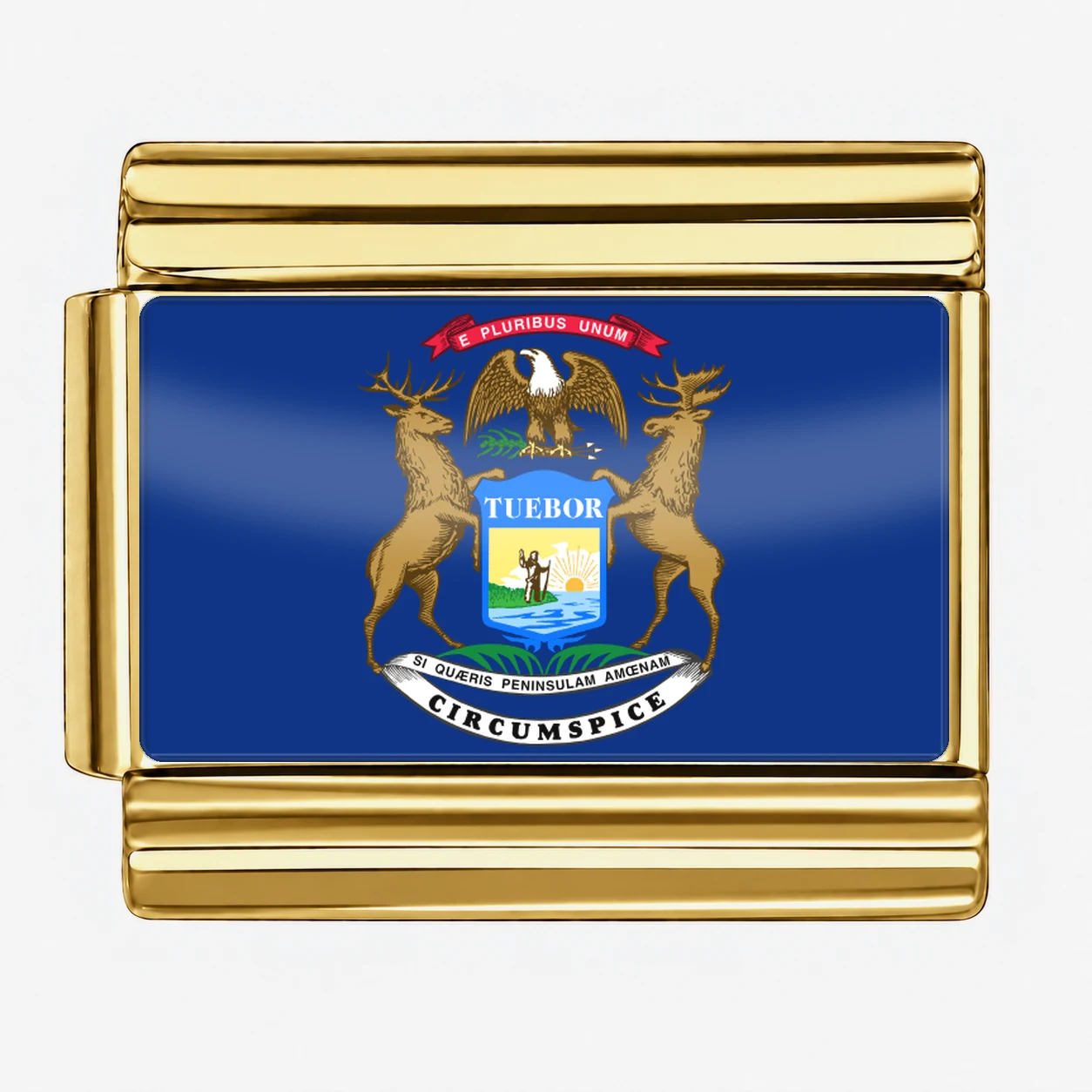 Michigan State Flag for - Gold