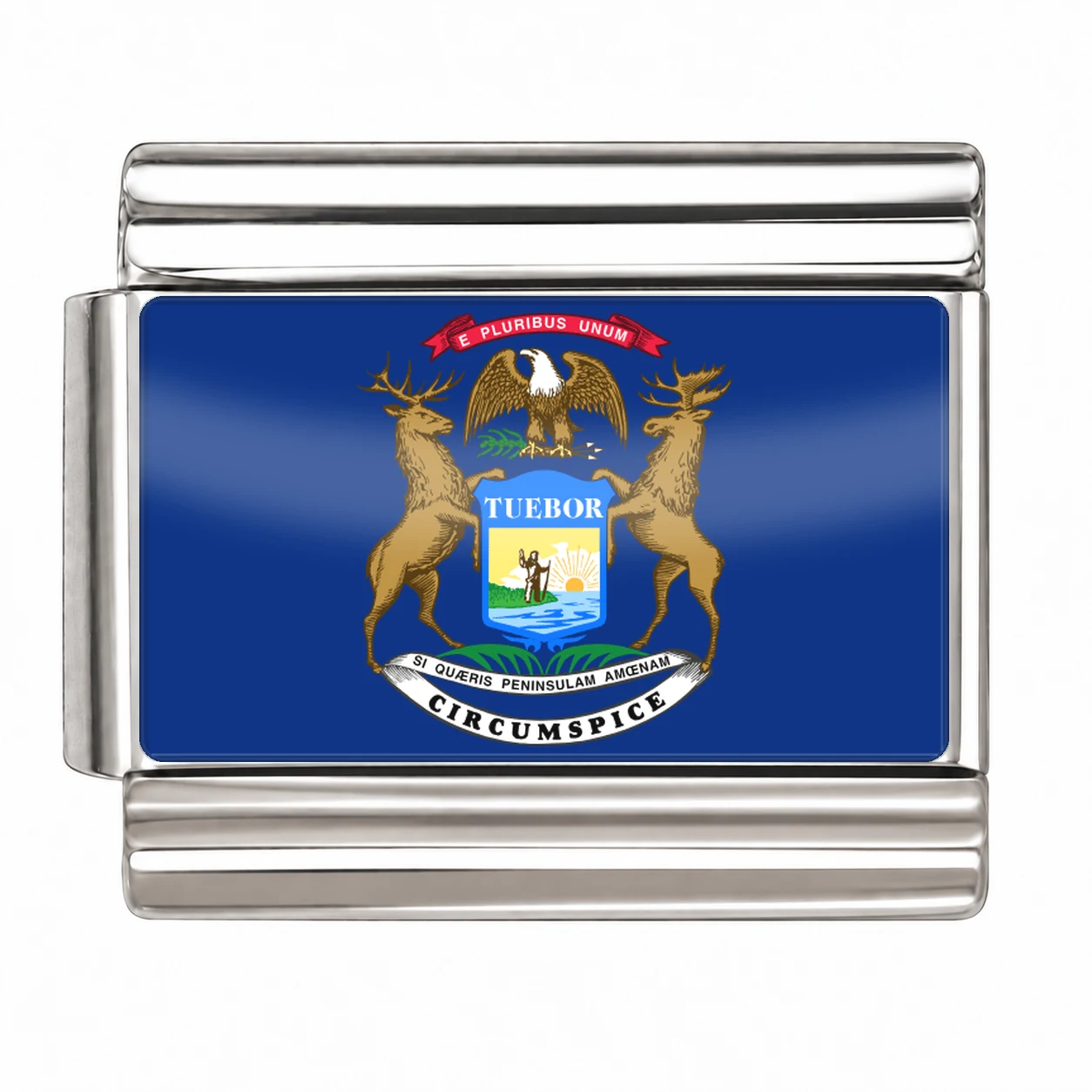 Michigan State Flag for - Silver