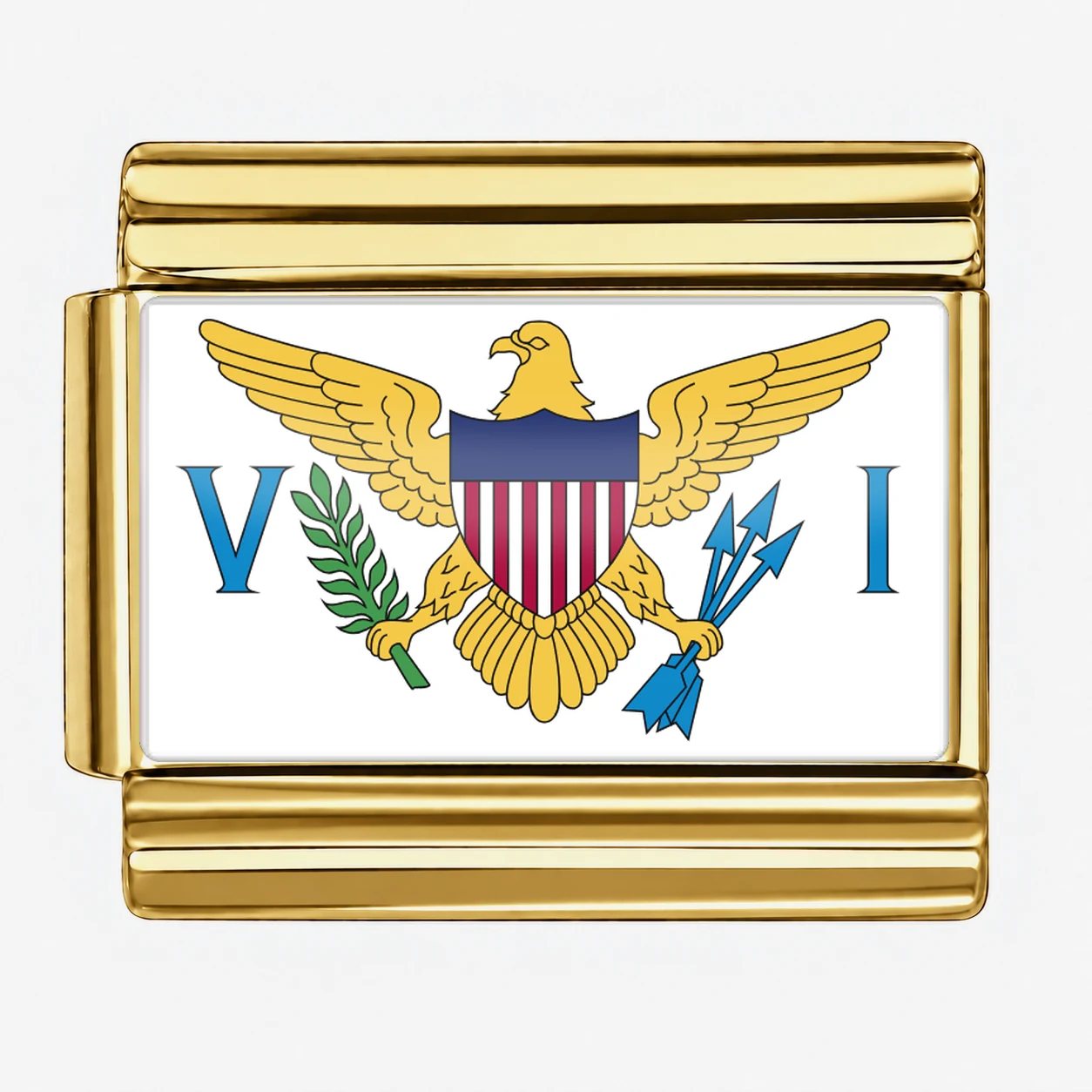 United States Virgin Islands Flag - Gold